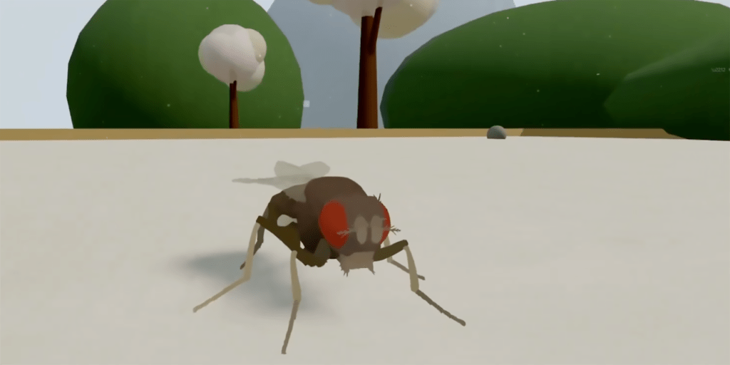 Screenshot of the Fly Brain Simulation experiment.